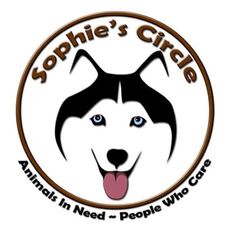 sophie's circle photos|sophie's circle new smyrna.